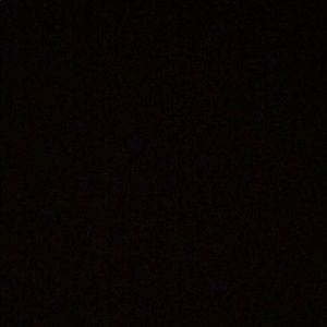 Meet your Posher, Ben